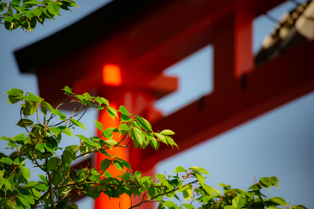 箱根神社