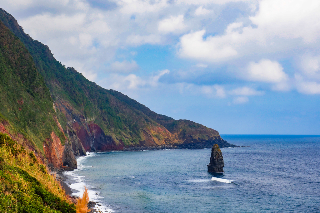 伊豆大島