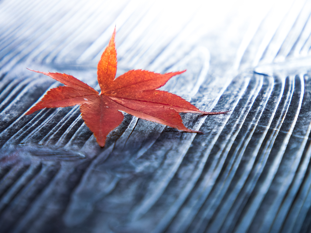 紅一葉