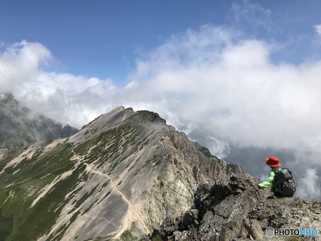 夏の山