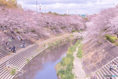 岡崎市乙川沿い