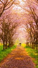 親子ポートレート