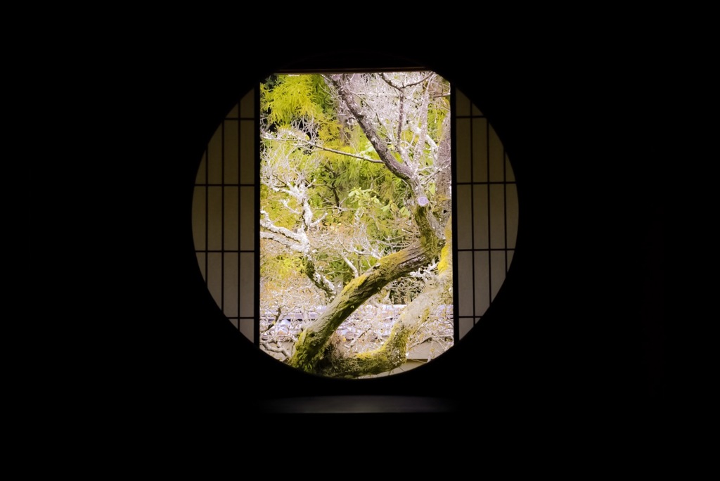 悟りの窓