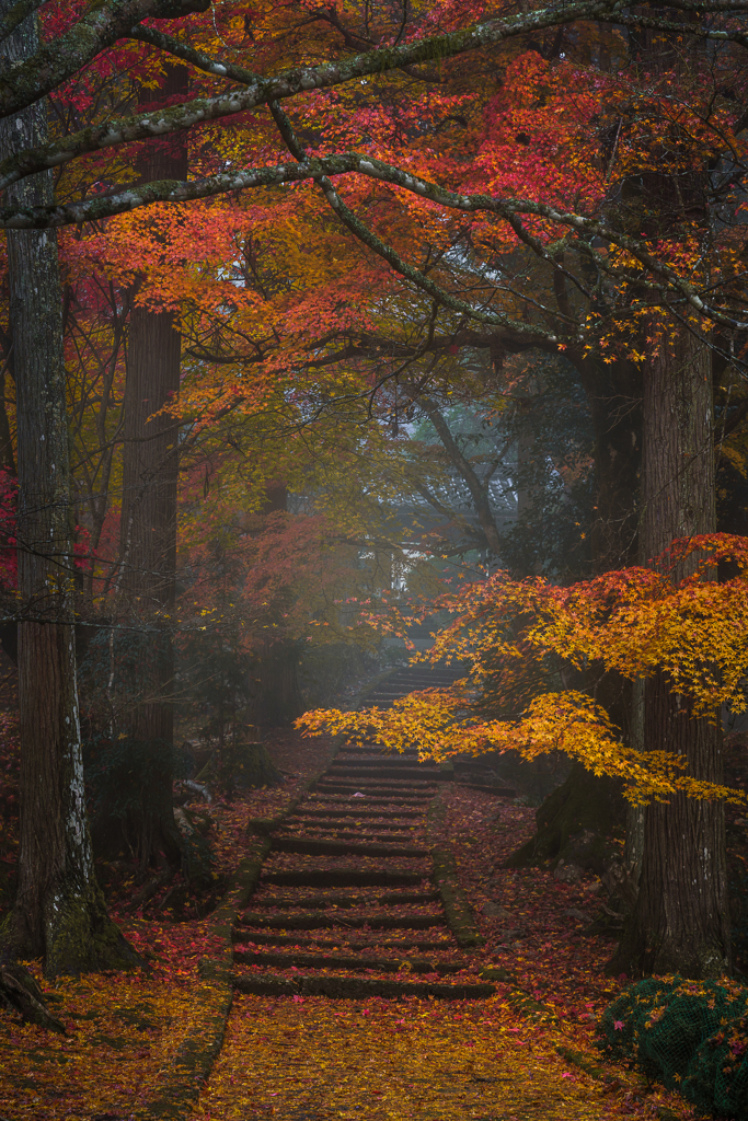 念願の龍穏寺