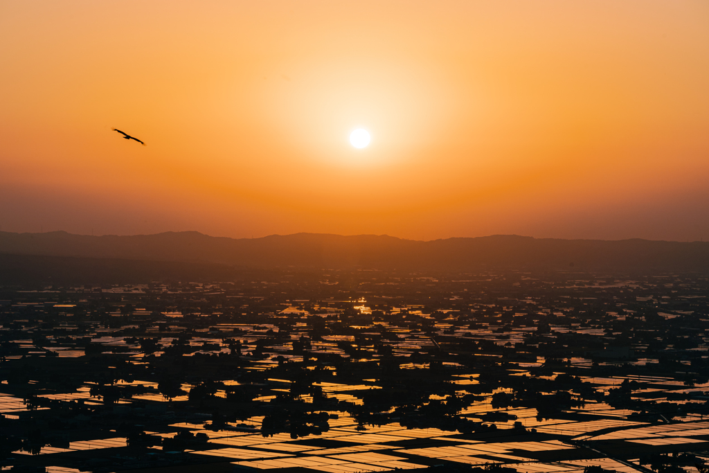 夕映