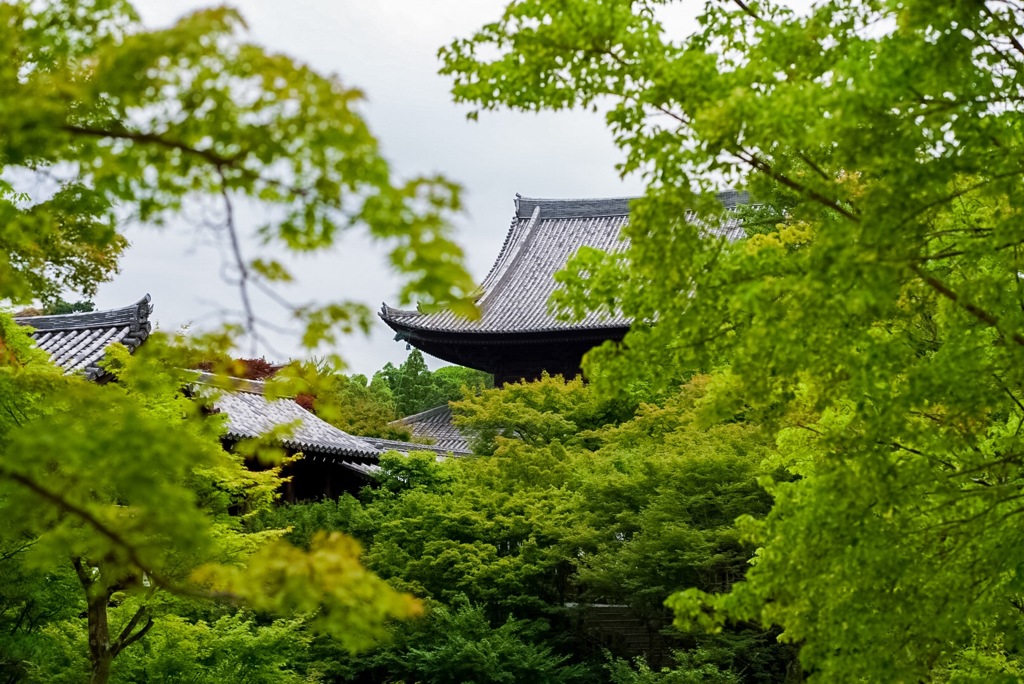 木々の隙間から