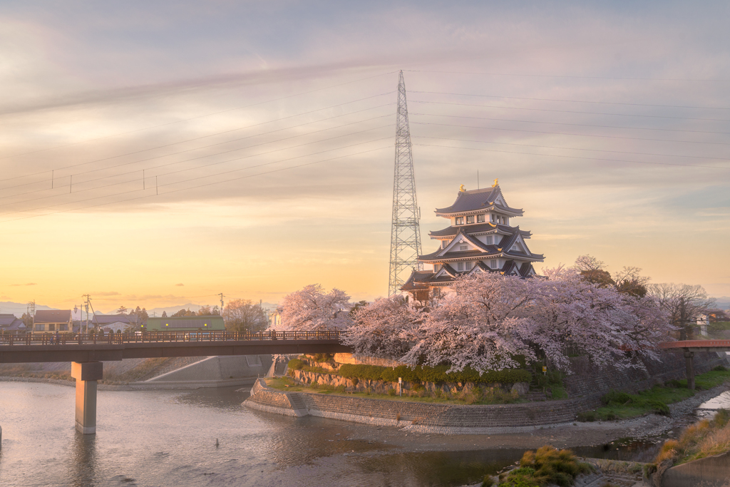 春霞と桜と一夜城