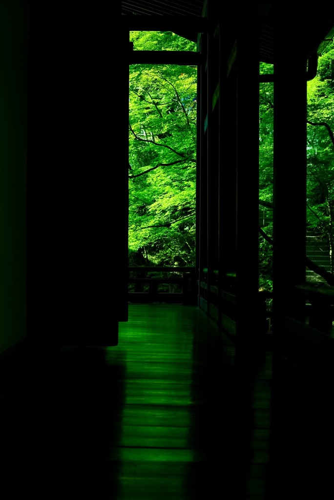 緑の廻廊