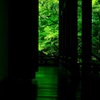 緑の廻廊