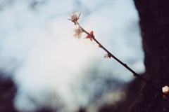 2365A118-10B4-472A-BD35-FBFF3C92DB9F