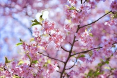83C52278-E062-4CBD-908F-BFC9D3C5DB90
