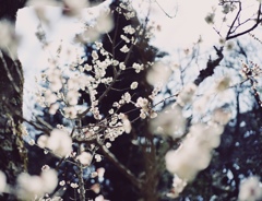 5FA63C76-1024-4A9A-BD9B-3B0A3BA392F6