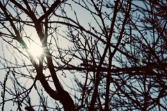 8F67B9A8-2871-4D08-AA2C-B5A22F88E388