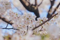 55F1F852-C2C6-4FD4-BE4A-DC821A57C175