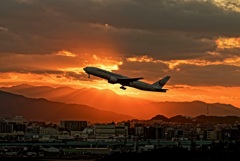 福岡空港の夕陽と飛行機