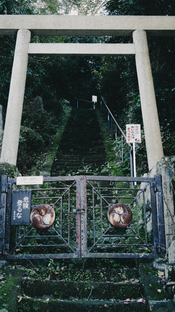 KAMAKURA:鳥居