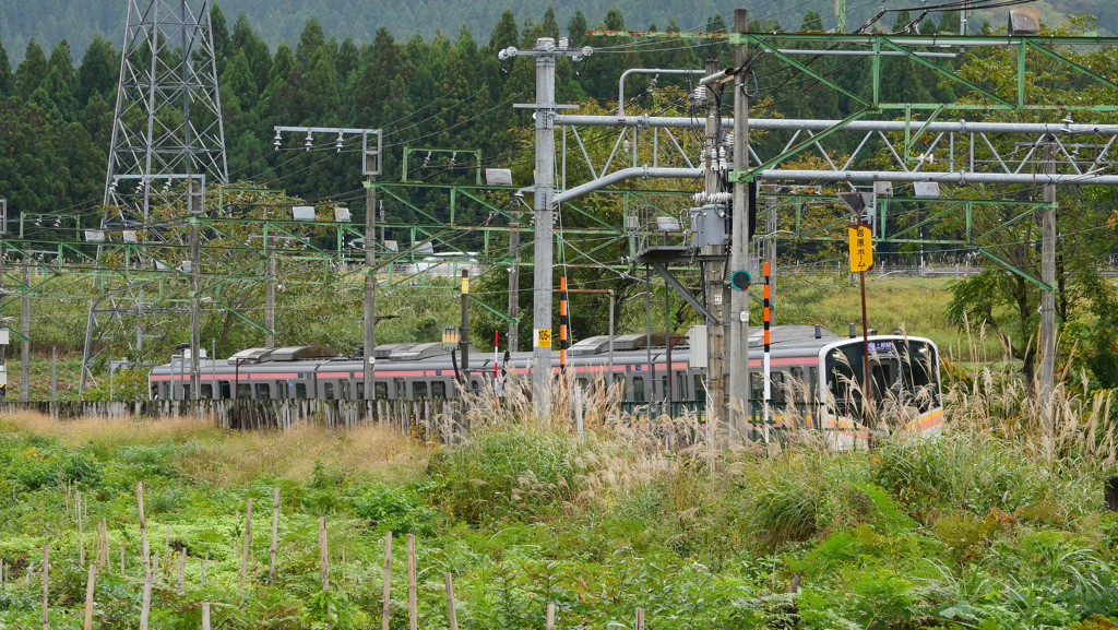 YUZAWA：電車