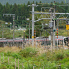 YUZAWA：電車