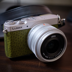 LUMIX GM5 Green with Pana Leica 15mm 