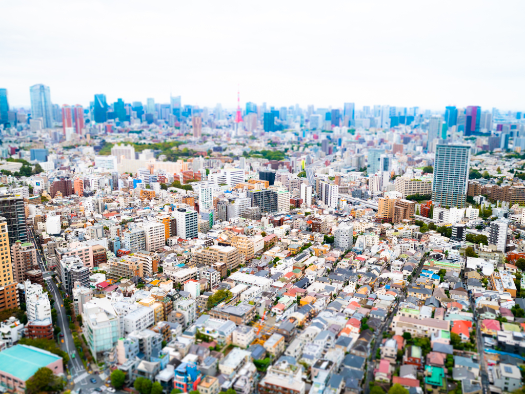 東京スカイビュー(30mm)