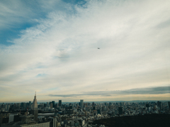 ニューヨークでもロンドンでもない、 東京。