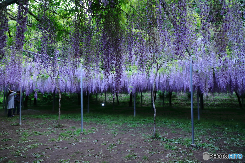 4.27 和気神社リベンジ6