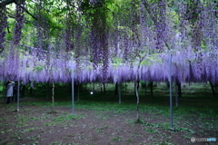 4.27 和気神社リベンジ6