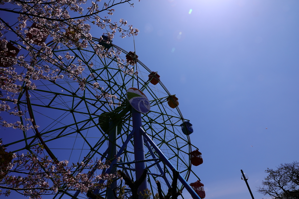 4.7 霧島城山公園　観覧車