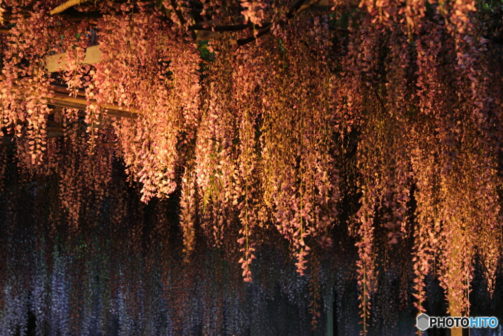4.27 和気神社リベンジ1 橙の光