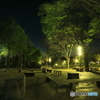 健康の森公園3 緑の世界