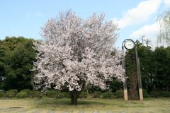 img_0001_31355188406_o