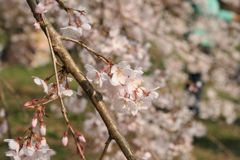 img_0028_31391279785_o