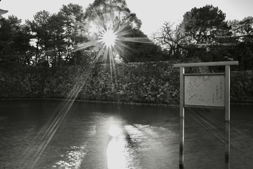 スペシウム光線