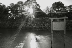 スペシウム光線