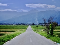 一本道