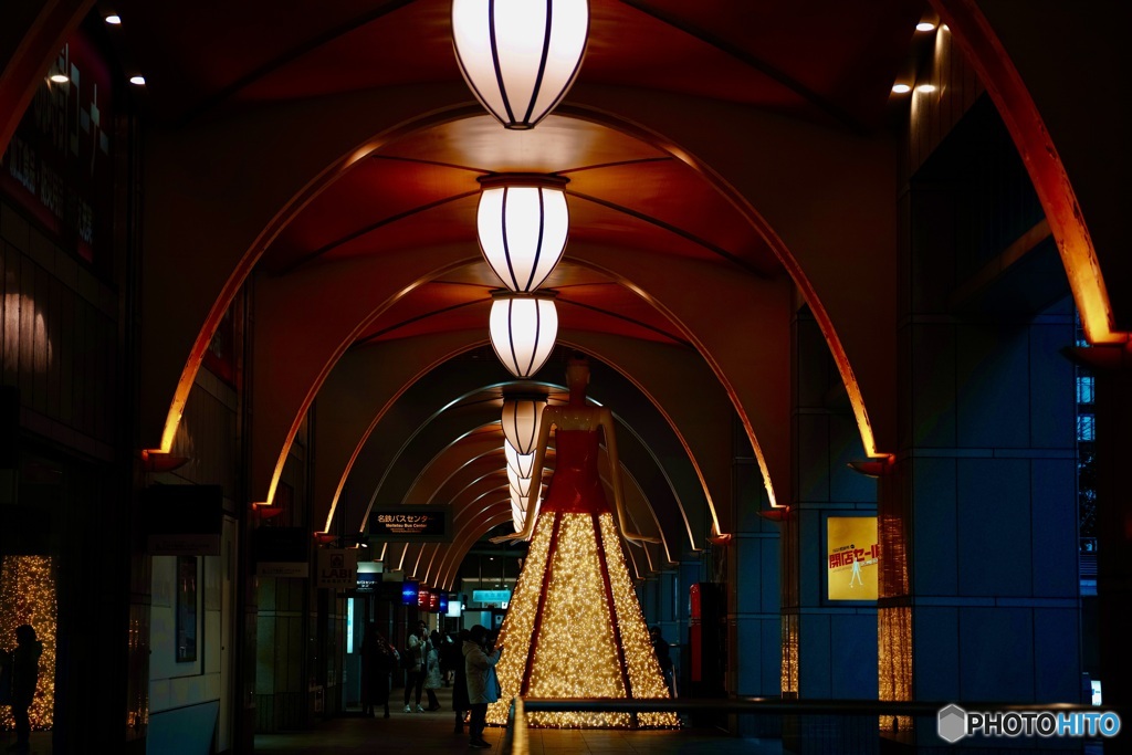 ナナちゃん、の後ろ姿。