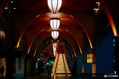 ナナちゃん、の後ろ姿。