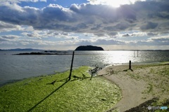 海苔のいい香りが。