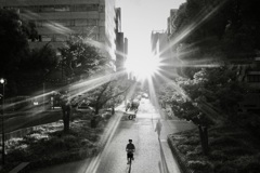西陽を浴びて