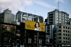 幸せの角ハイボール。