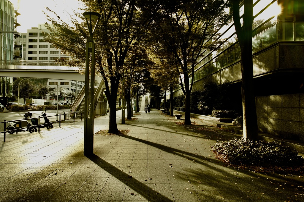 日差し