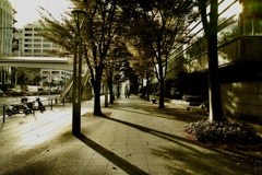 日差し