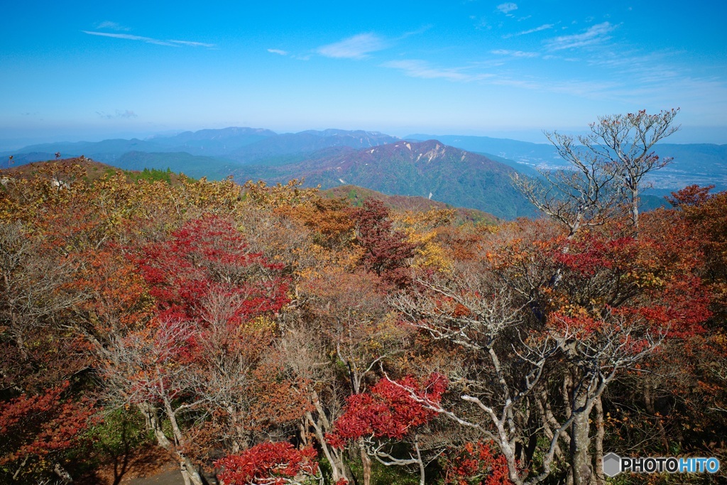 標高1200m付近。