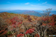 標高1200m付近。 標高1200m付近。