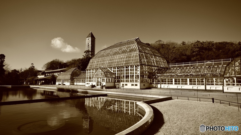 温室の中はポカポカ♪