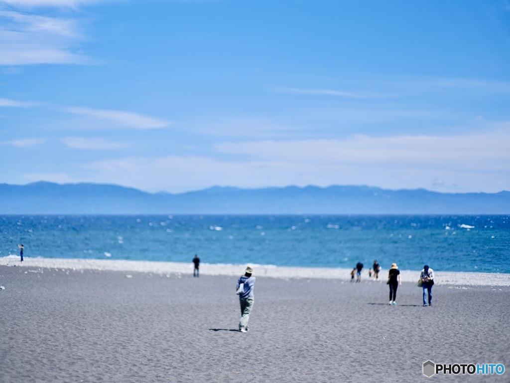 駿河湾