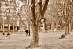 顔に見えてしまう。