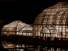 greenhouse