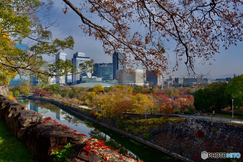 大阪城公園からの眺め。