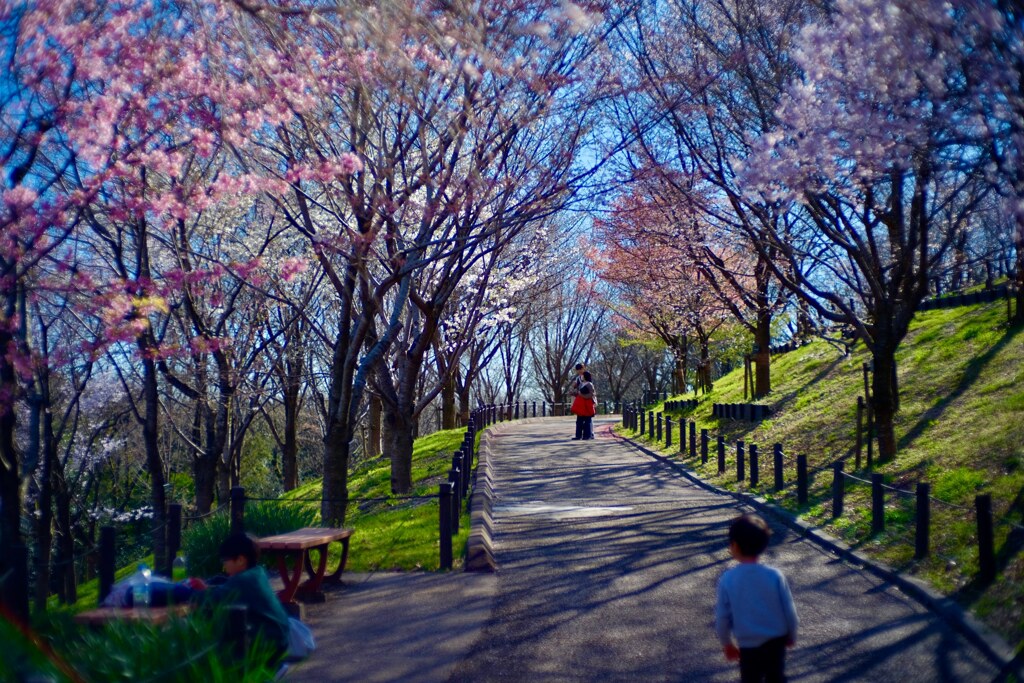 IMG_20230319_233746_341